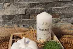 IMG-20221102-WA0000