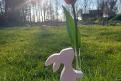 IMG-20230407-WA0045